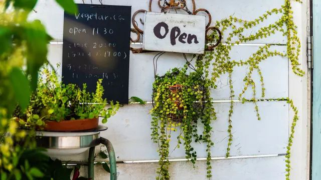Open sign hanging on a white wall beside a chalkboard and trailing plants